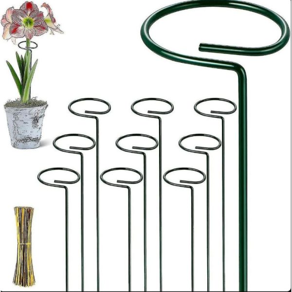 پایه نگهدارنده گل 6 عددی